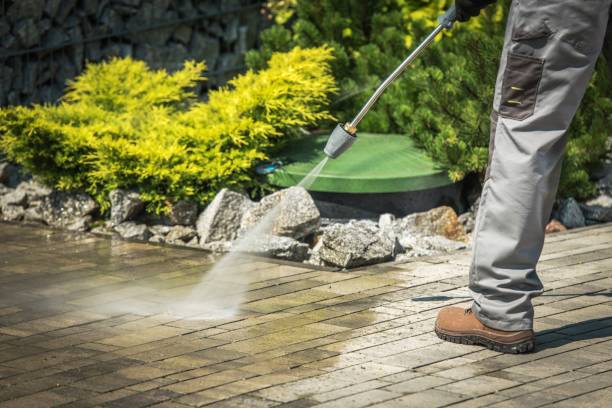 Best Driveway Pressure Washing  in Potosi, TX