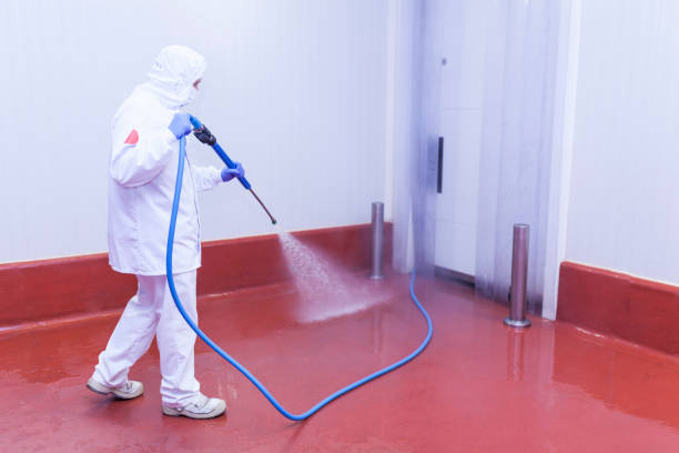 Best Rust Removal  in Potosi, TX